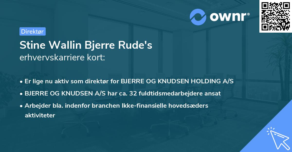 Stine Wallin Bjerre Rude's erhvervskarriere kort