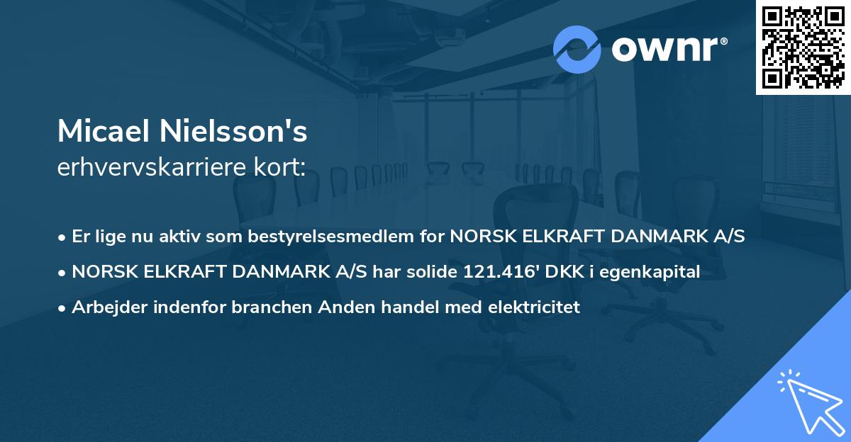 Micael Nielsson's erhvervskarriere kort