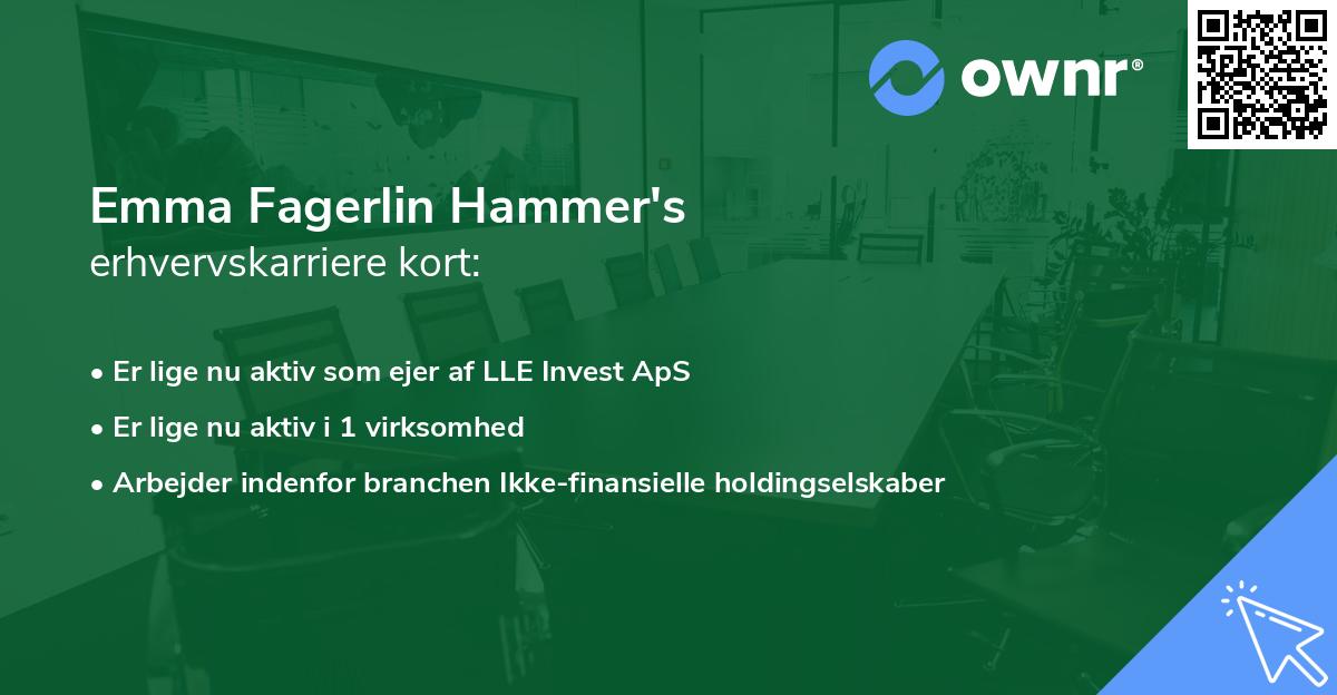 Emma Fagerlin Hammer's erhvervskarriere kort