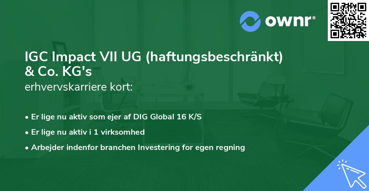 IGC Impact VII UG (haftungsbeschränkt) & Co. KG's erhvervskarriere kort