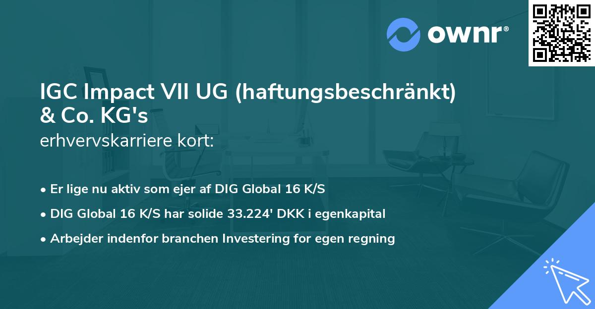 IGC Impact VII UG (haftungsbeschränkt) & Co. KG's erhvervskarriere kort