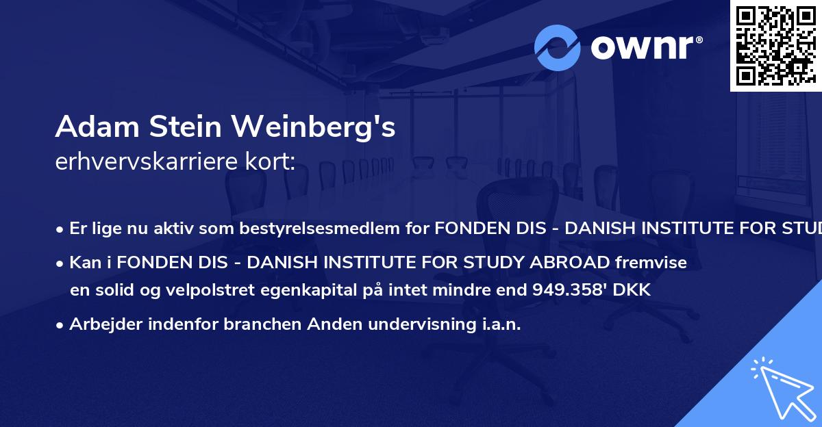Adam Stein Weinberg's erhvervskarriere kort