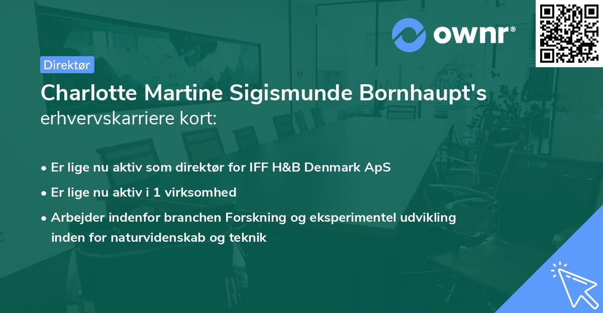 Charlotte Martine Sigismunde Bornhaupt's erhvervskarriere kort