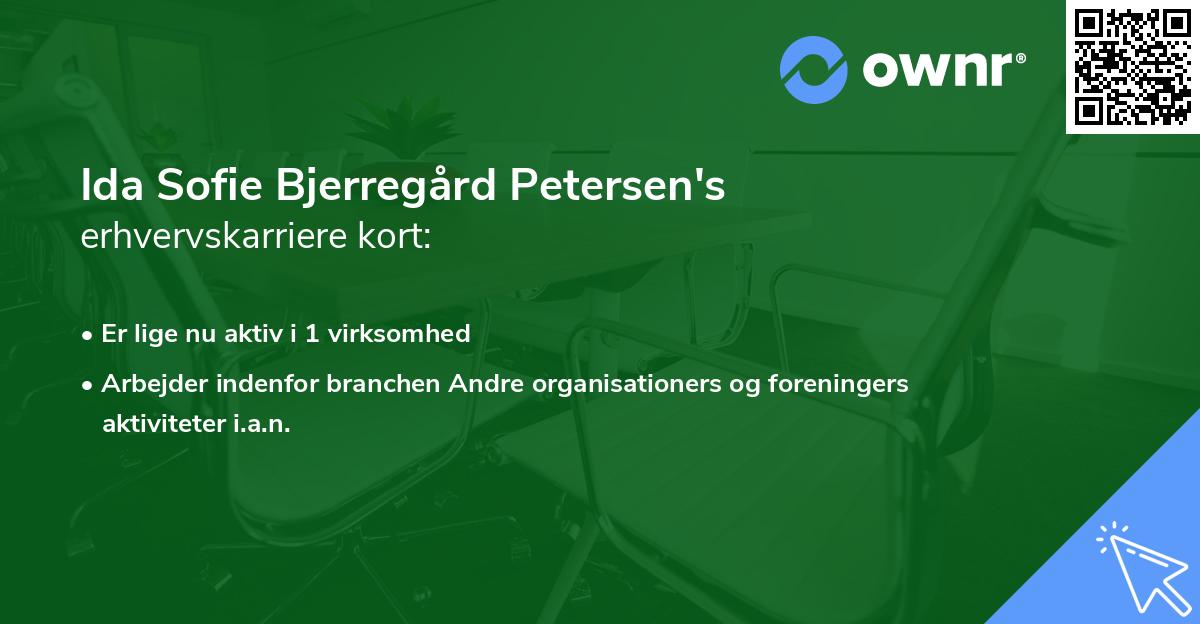 Ida Sofie Bjerregård Petersen's erhvervskarriere kort