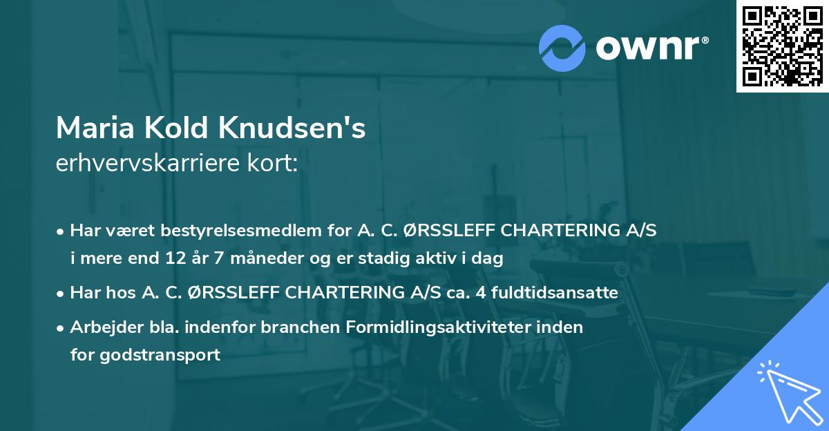 Maria Kold Knudsen's erhvervskarriere kort