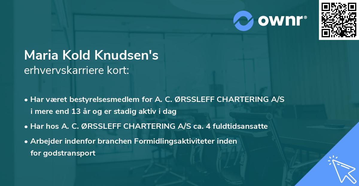 Maria Kold Knudsen's erhvervskarriere kort