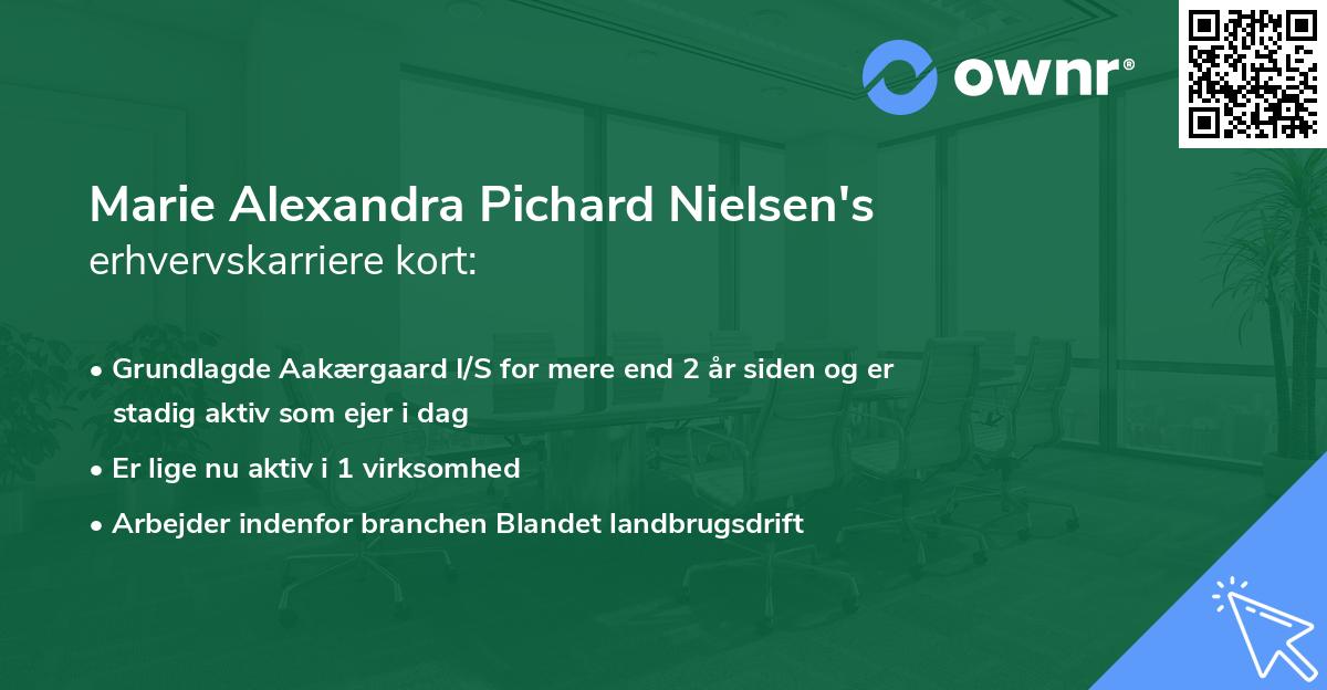 Marie Alexandra Pichard Nielsen's erhvervskarriere kort