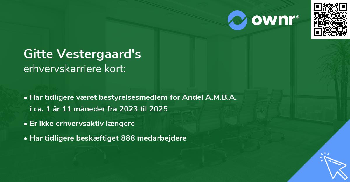 Gitte Vestergaard's erhvervskarriere kort