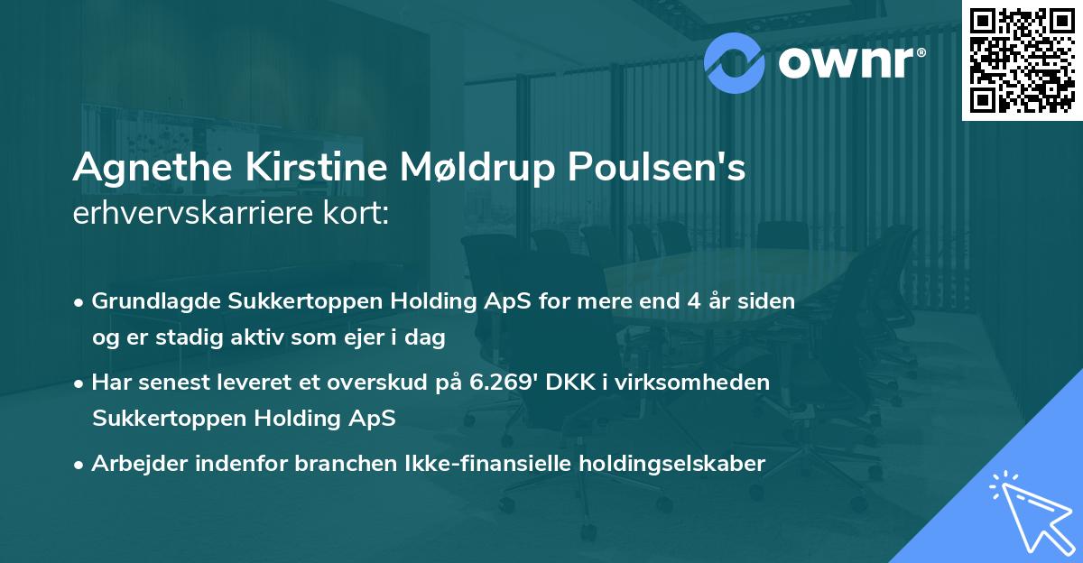 Agnethe Kirstine Møldrup Poulsen's erhvervskarriere kort