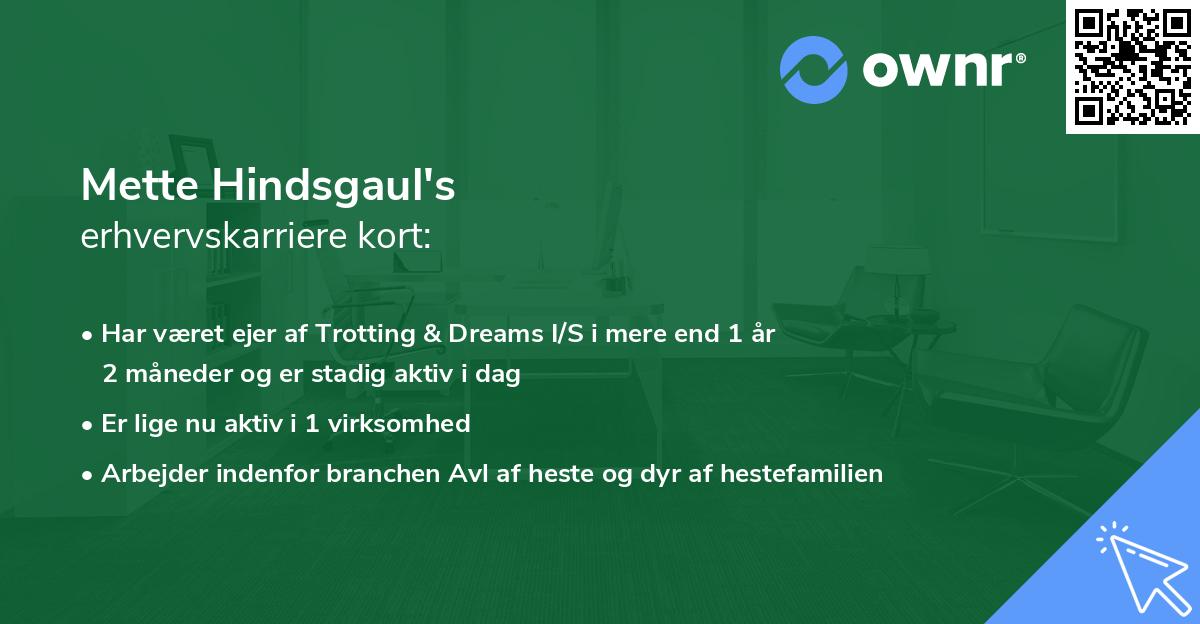 Mette Hindsgaul's erhvervskarriere kort