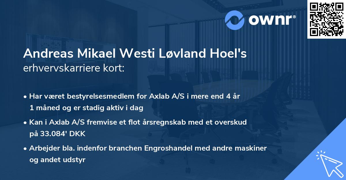 Andreas Mikael Westi Løvland Hoel's erhvervskarriere kort