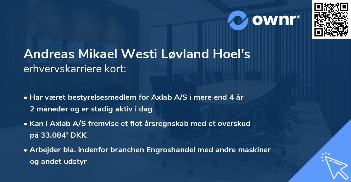 Andreas Mikael Westi Løvland Hoel's erhvervskarriere kort