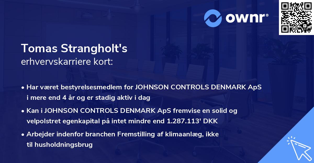 Tomas Strangholt's erhvervskarriere kort