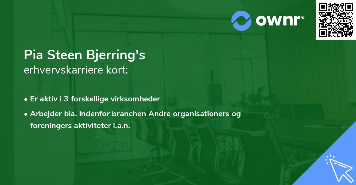 Pia Steen Bjerring's erhvervskarriere kort