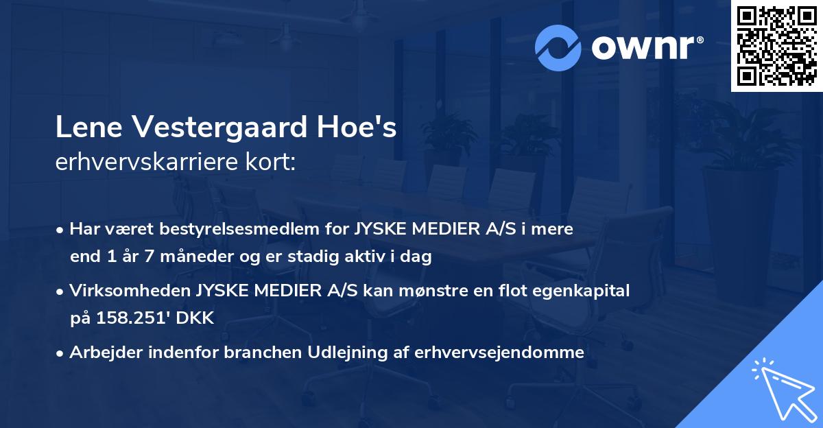 Lene Vestergaard Hoe's erhvervskarriere kort