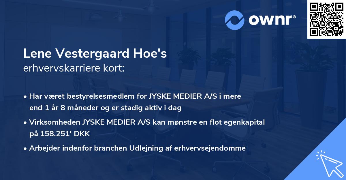 Lene Vestergaard Hoe's erhvervskarriere kort