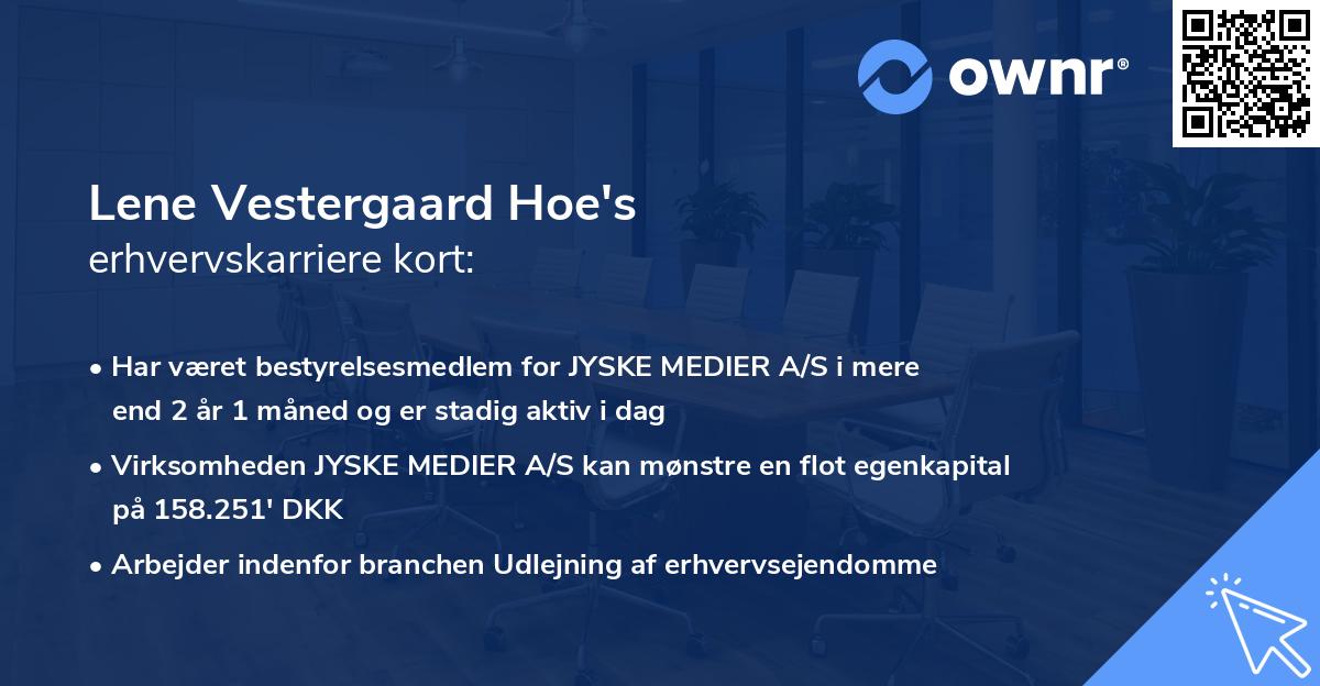 Lene Vestergaard Hoe's erhvervskarriere kort