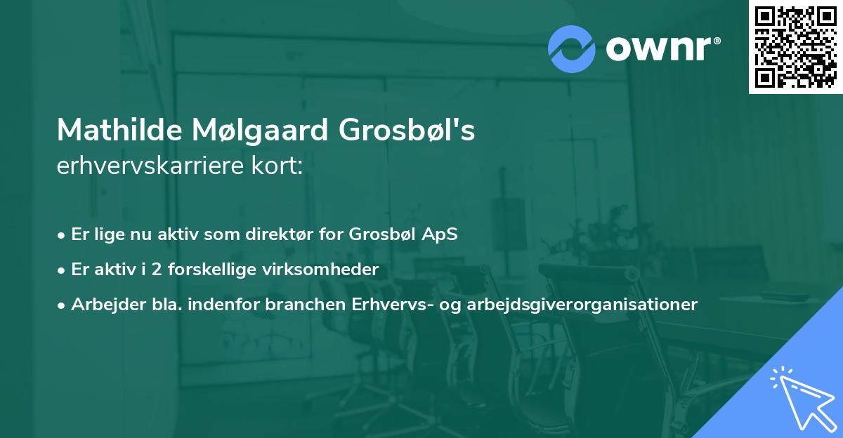 Mathilde Mølgaard Grosbøl's erhvervskarriere kort