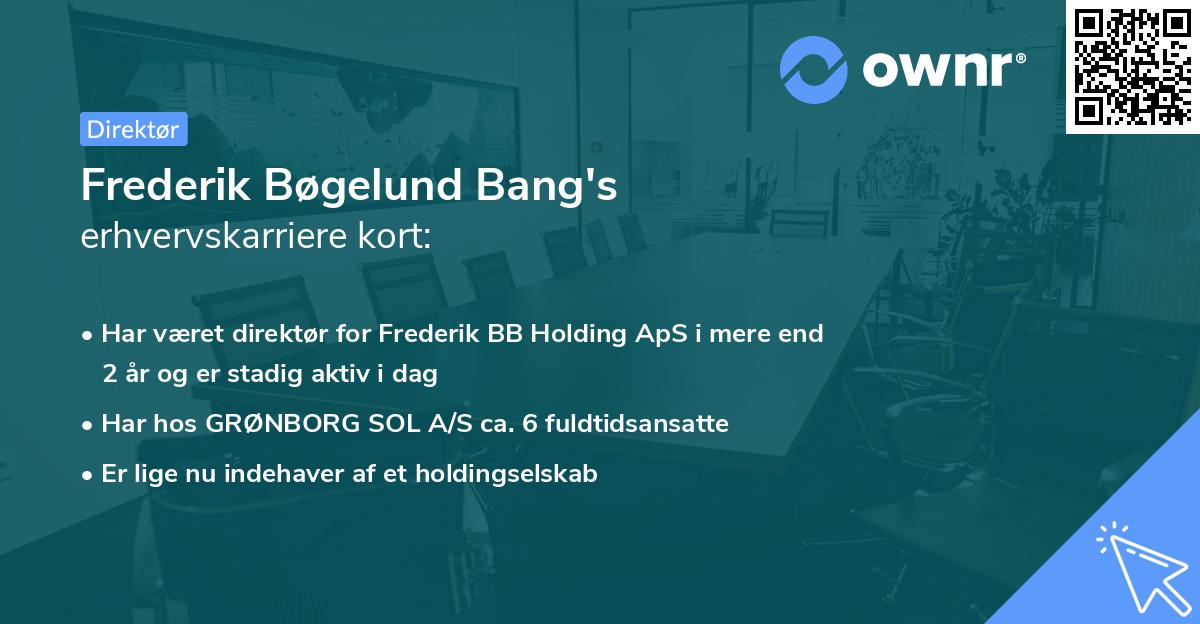 Frederik Bøgelund Bang's erhvervskarriere kort