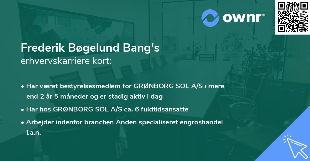 Frederik Bøgelund Bang's erhvervskarriere kort