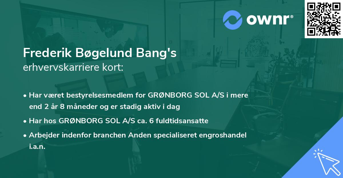 Frederik Bøgelund Bang's erhvervskarriere kort
