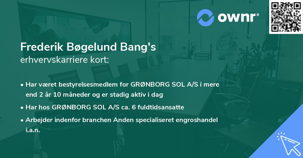 Frederik Bøgelund Bang's erhvervskarriere kort