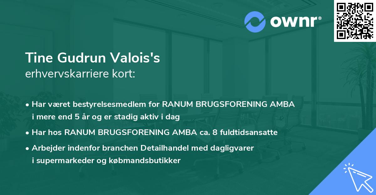 Tine Gudrun Valois's erhvervskarriere kort