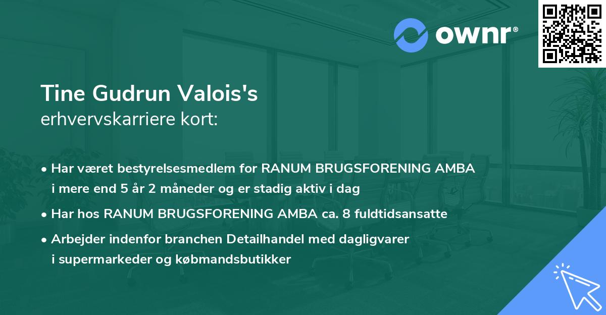 Tine Gudrun Valois's erhvervskarriere kort