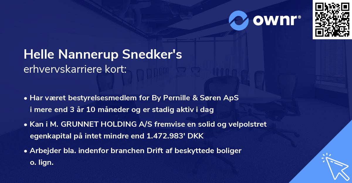 Helle Nannerup Snedker's erhvervskarriere kort