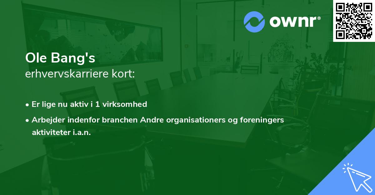 Ole Bang's erhvervskarriere kort