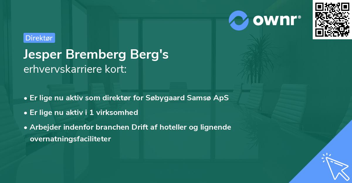 Jesper Bremberg Berg's erhvervskarriere kort