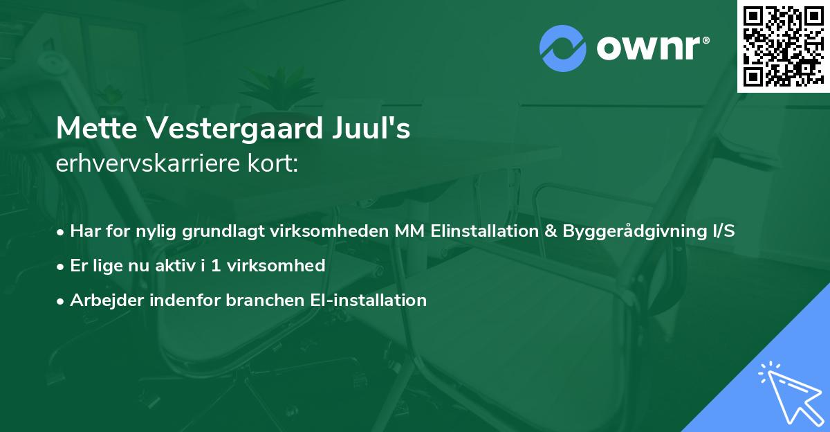 Mette Vestergaard Juul's erhvervskarriere kort