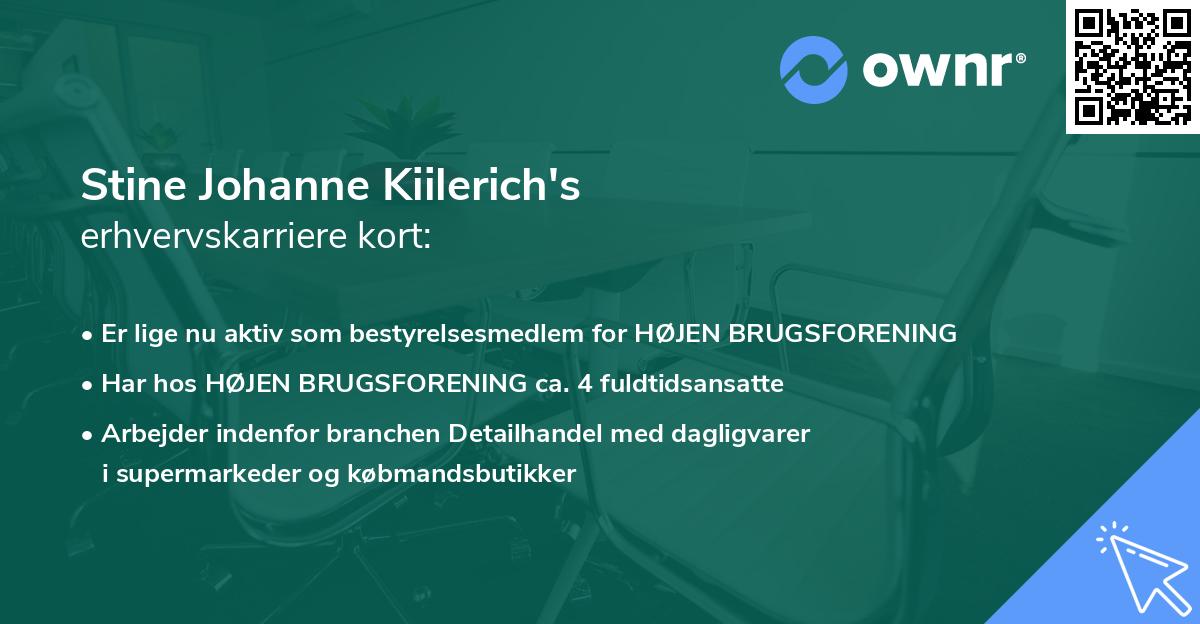 Stine Johanne Kiilerich's erhvervskarriere kort