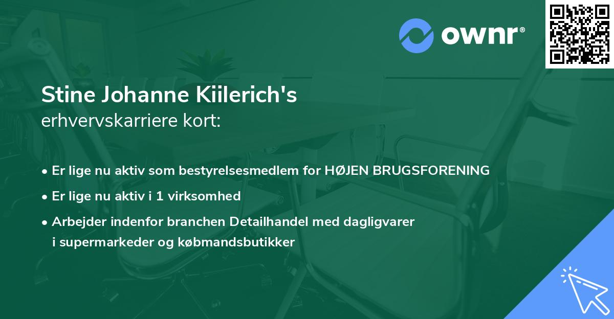 Stine Johanne Kiilerich's erhvervskarriere kort