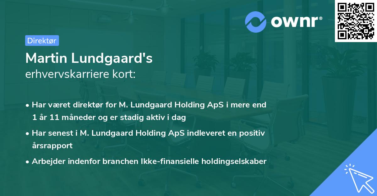 Martin Lundgaard's erhvervskarriere kort