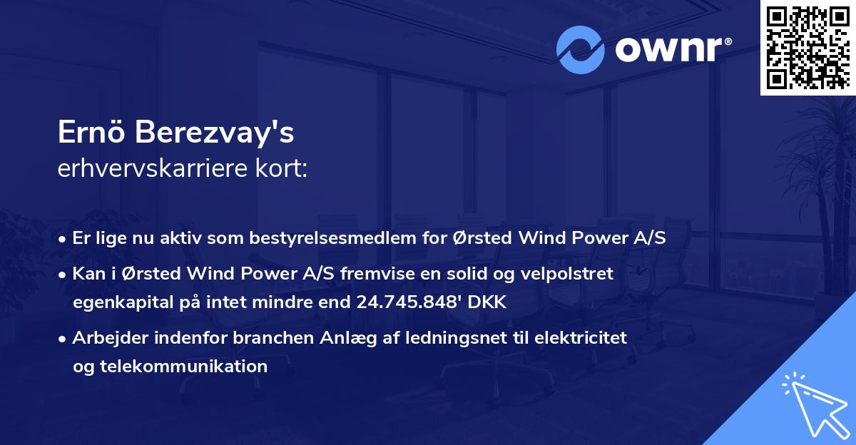 Ernö Berezvay's erhvervskarriere kort