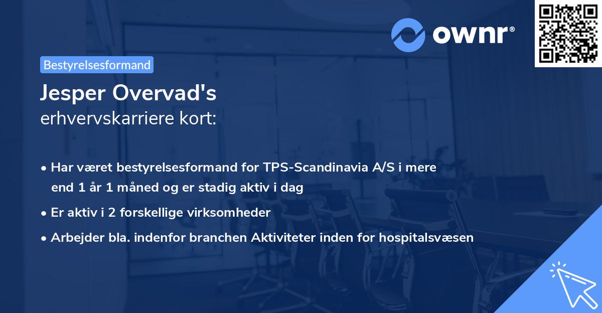 Jesper Overvad's erhvervskarriere kort