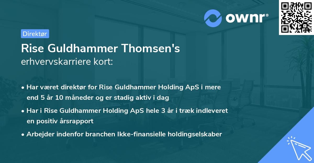 Rise Guldhammer Thomsen's erhvervskarriere kort