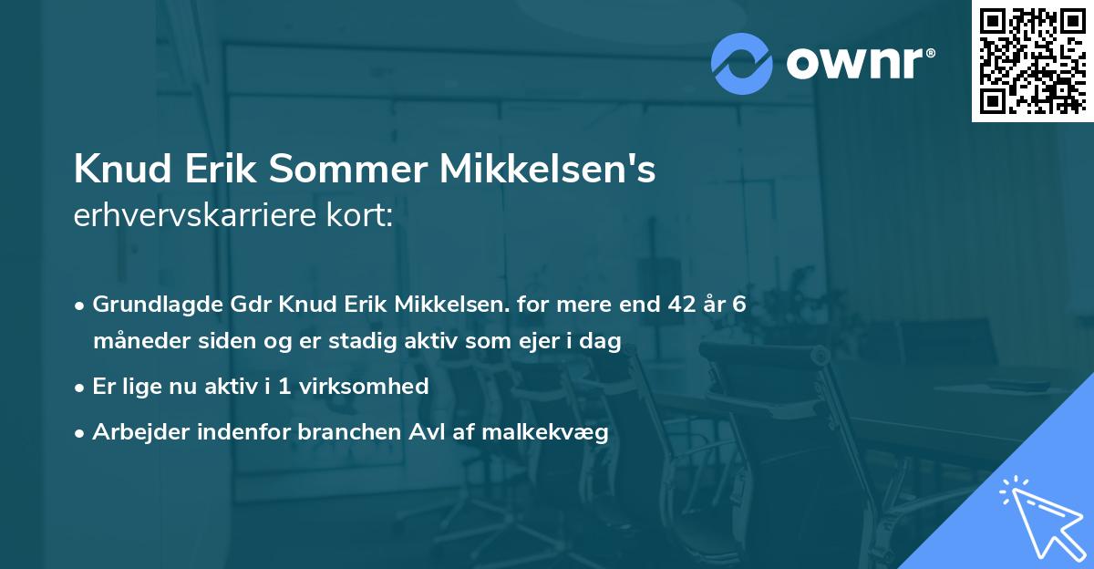 Knud Erik Sommer Mikkelsen's erhvervskarriere kort