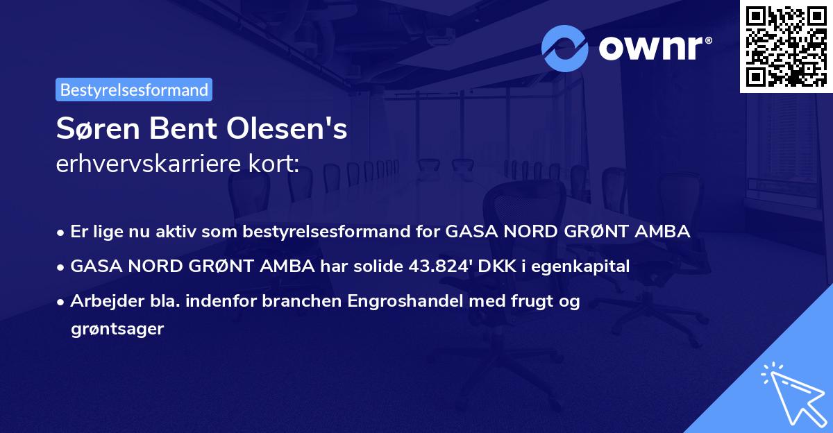 Søren Bent Olesen's erhvervskarriere kort