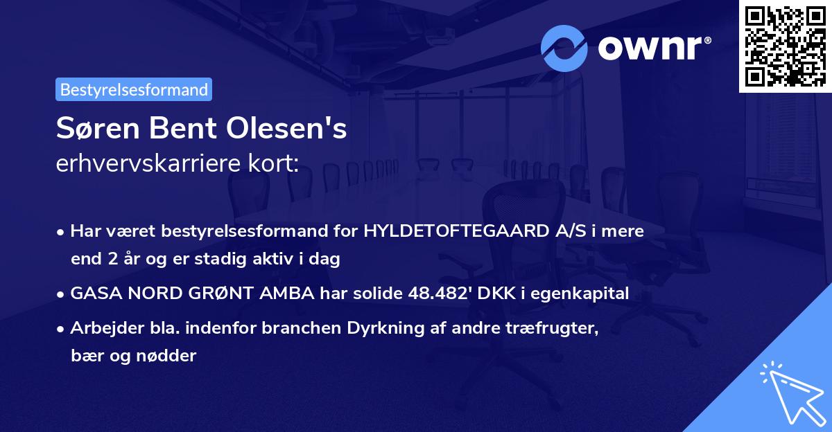 Søren Bent Olesen's erhvervskarriere kort