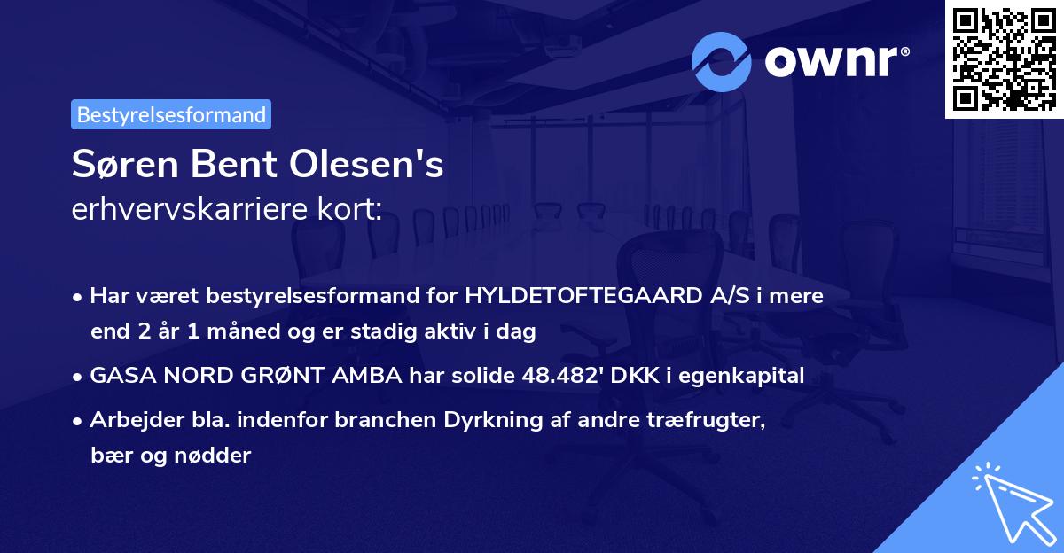 Søren Bent Olesen's erhvervskarriere kort