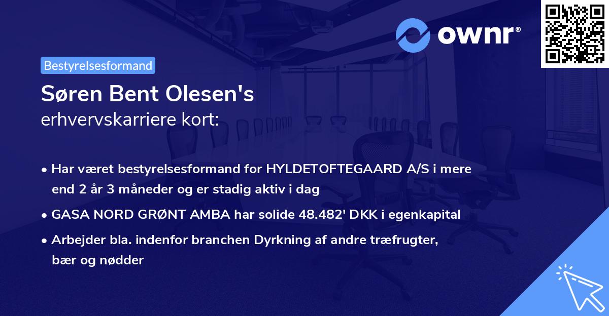 Søren Bent Olesen's erhvervskarriere kort