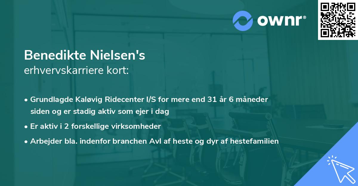 Benedikte Nielsen's erhvervskarriere kort