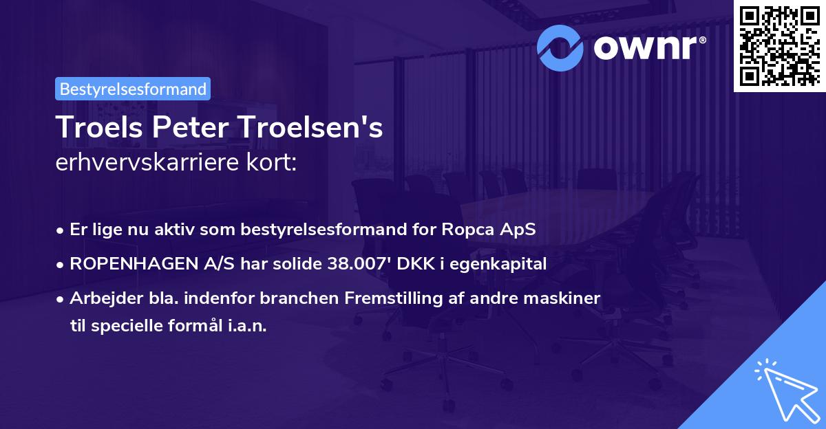 Troels Peter Troelsen's erhvervskarriere kort