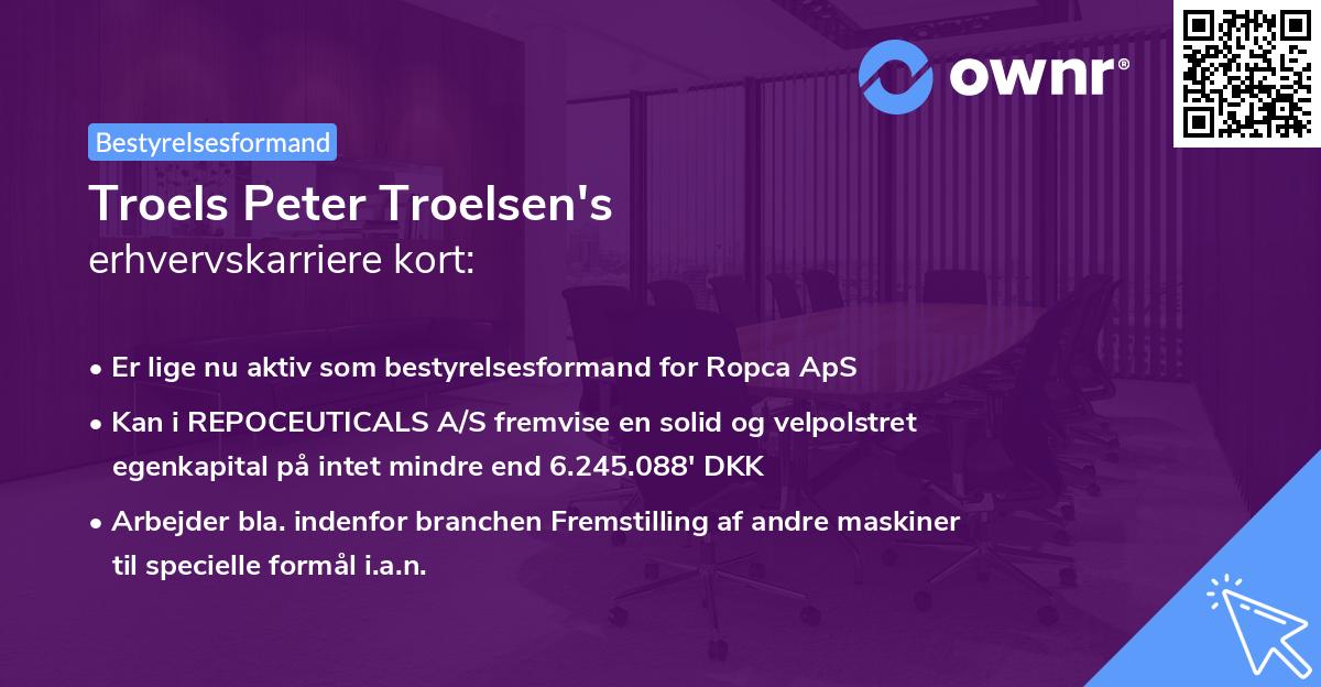 Troels Peter Troelsen's erhvervskarriere kort