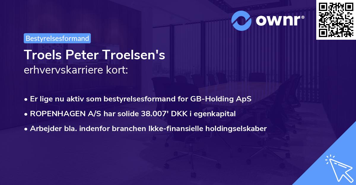 Troels Peter Troelsen's erhvervskarriere kort