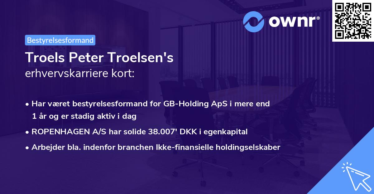 Troels Peter Troelsen's erhvervskarriere kort