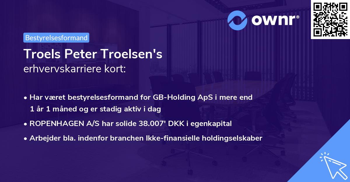 Troels Peter Troelsen's erhvervskarriere kort