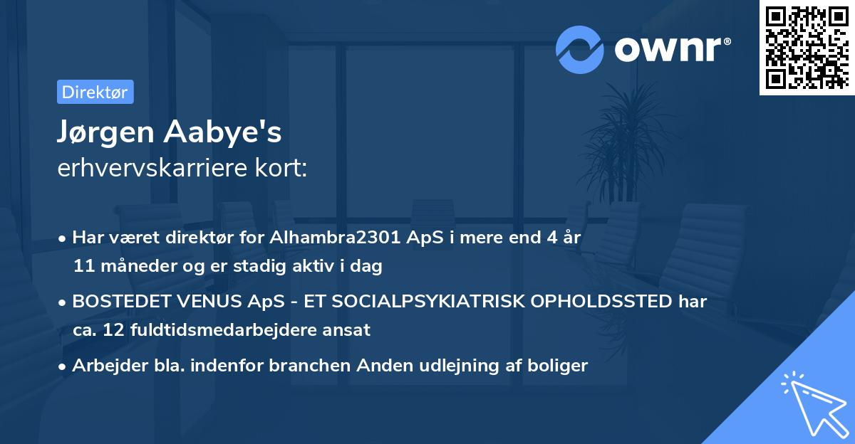 Jørgen Aabye's erhvervskarriere kort